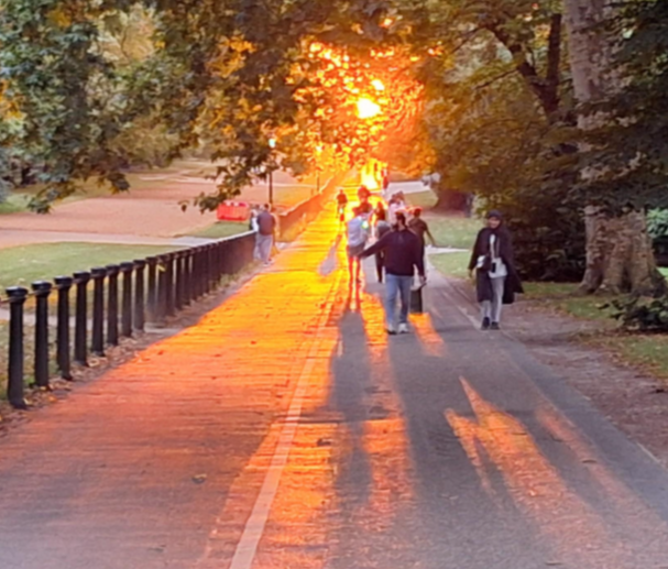 Autumn sunsetting in Hyde Park London 